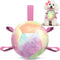 Dog Toys Soccer Ball with Straps, Durable Dog Balls for Tug of War, Puppy Birthday Gifts, Dog Water Toy Small Dogs-Rainbow?5 Inch?...